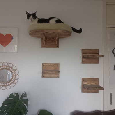 Wall Mounted Wood Cat Feeder Shelves Cat Feeding Shelf With 2 - Etsy