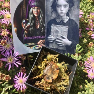 Supernekocat added a photo of their purchase
