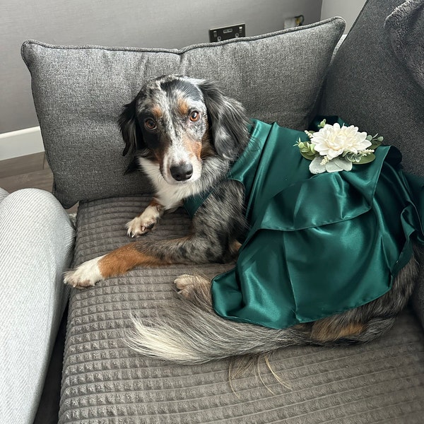 jcpenney dresses for wedding Media Confidential: Is New Sponsor of Amazon Prime’s TNF Size:2/M Business Dress Code For shop