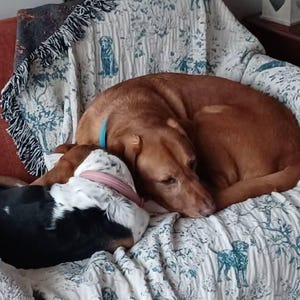 Wendy a ajouté une photo de son achat