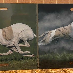 Jan added a photo of their purchase