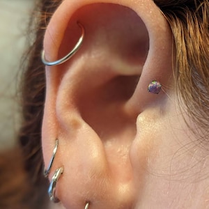 R added a photo of their purchase