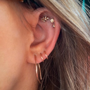 Ashly added a photo of their purchase