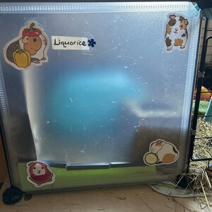 Catherine hat ein Foto des gekauften Artikels hinzugefügt