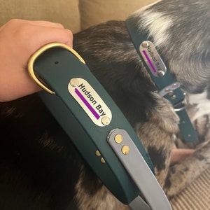 Reagan added a photo of their purchase