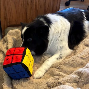 Debbie added a photo of their purchase