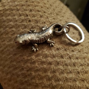 muishen added a photo of their purchase
