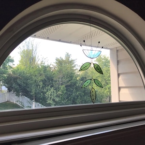Gryf added a photo of their purchase