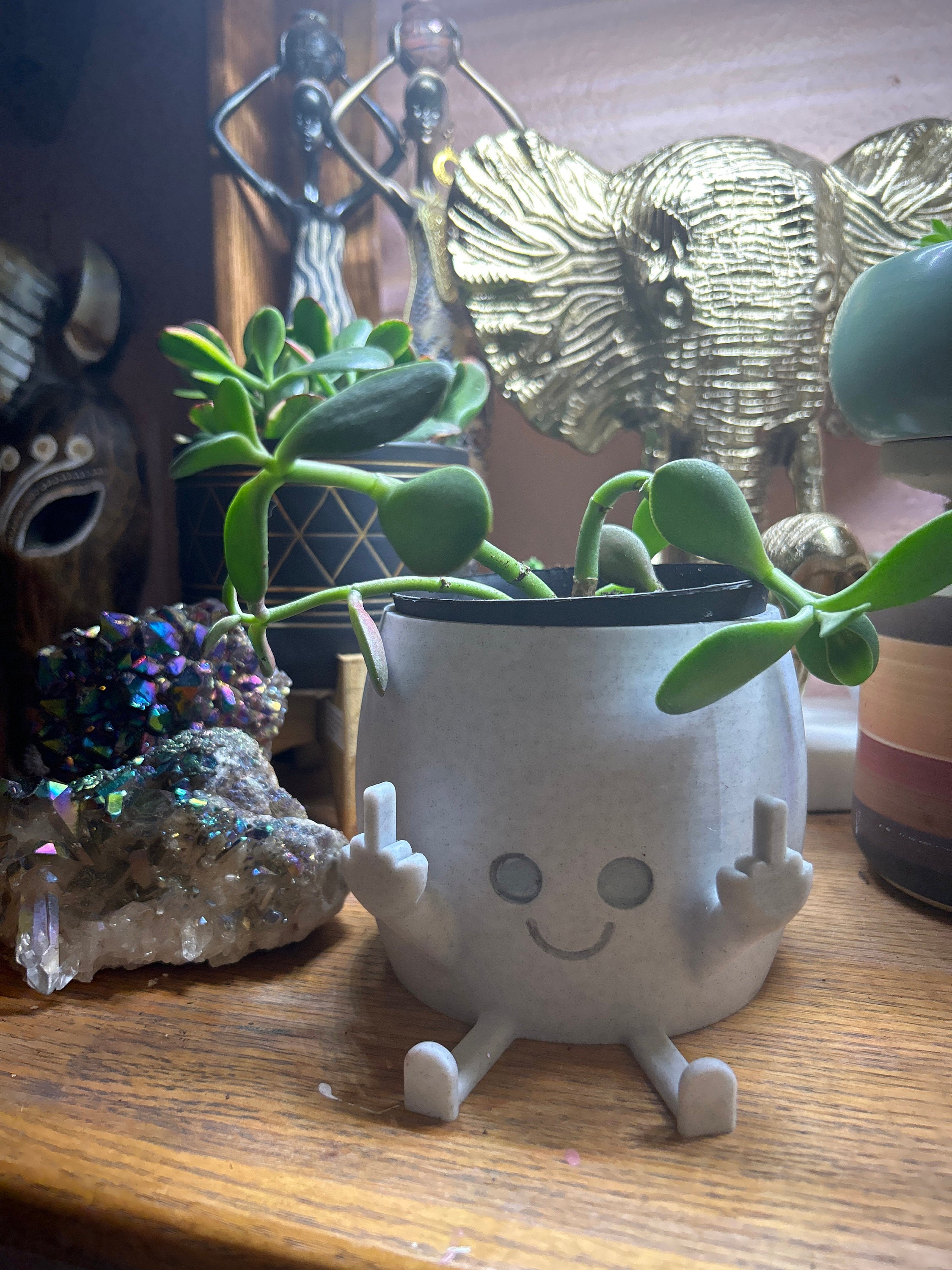 Middle Finger Planter