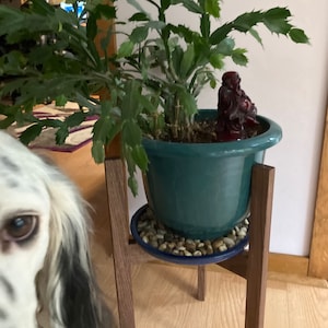 Ellen ha añadido una foto de su compra