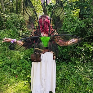 Lysa hat ein Foto des gekauften Artikels hinzugefügt