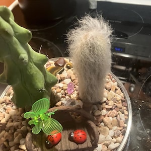 Lenatilda added a photo of their purchase