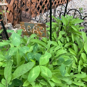 Linda added a photo of their purchase