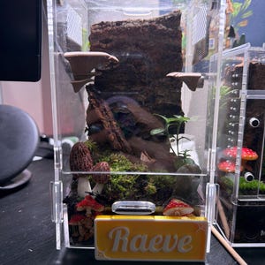 Shelby added a photo of their purchase
