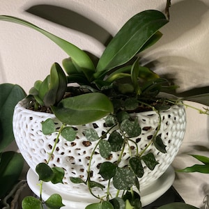 Kay added a photo of their purchase