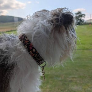 Lorraine added a photo of their purchase