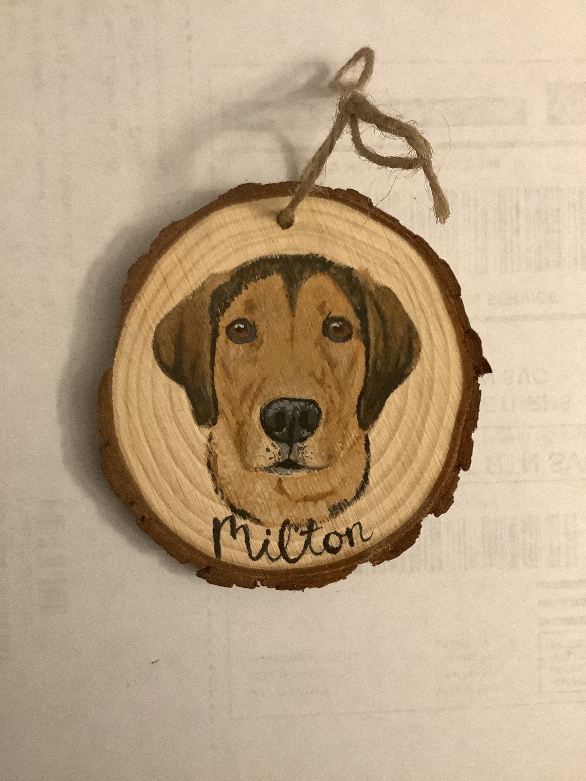 Custom Pet Portrait Ornaments, hand painted pet ornament, personalized pet memorial, pet lovers gift, custom dog portrait