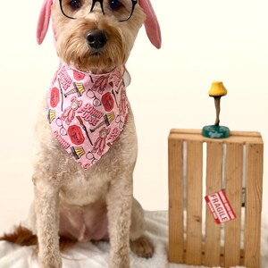 Mica hat ein Foto des gekauften Artikels hinzugefügt