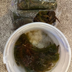 Darien さんが購入した商品の写真を追加しました