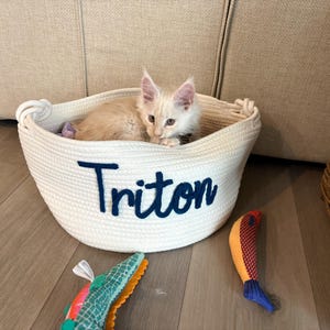 Bridget added a photo of their purchase