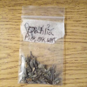 Shea added a photo of their purchase