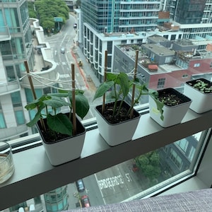 Bergen added a photo of their purchase