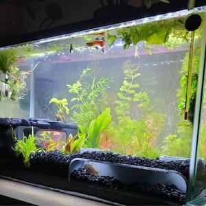 Kimberly added a photo of their purchase
