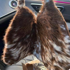 Natasha added a photo of their purchase
