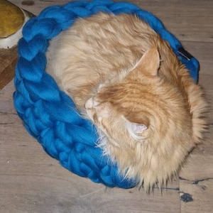 Christoph added a photo of their purchase