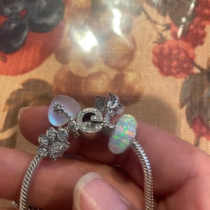 Gabriela added a photo of their purchase