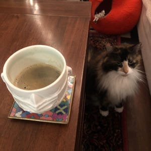 Etsy buyer added a photo of their purchase