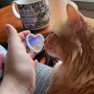 Charlie added a photo of their purchase