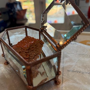 Sally さんが購入した商品の写真を追加しました
