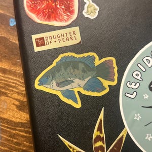 Isabella ha añadido una foto de su compra