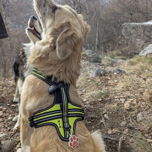 Simone ha añadido una foto de su compra