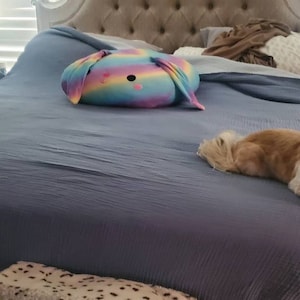 Tammy added a photo of their purchase