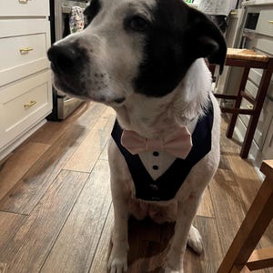 David dodał(a) zdjęcie swoich zakupów