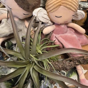 Theodora added a photo of their purchase