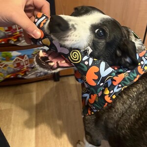 Marina added a photo of their purchase