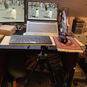 Mrs added a photo of their purchase