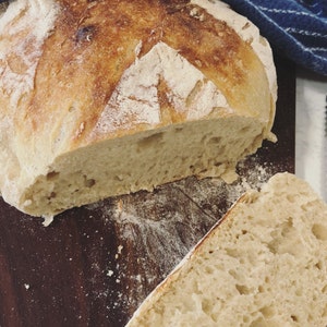 Gluten Free Sourdough Starter Maintained With GF King Arthur | Etsy