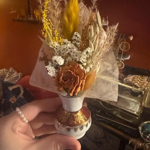 Carolyn added a photo of their purchase