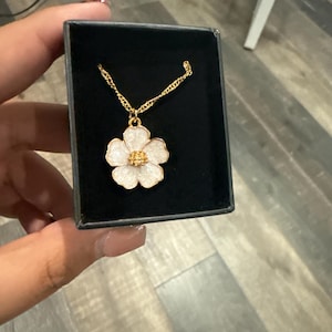 Navi added a photo of their purchase