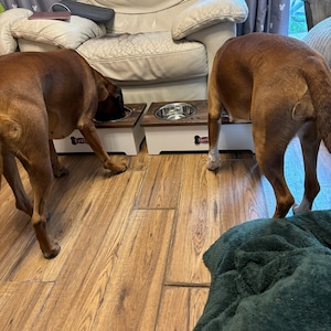 Simon added a photo of their purchase