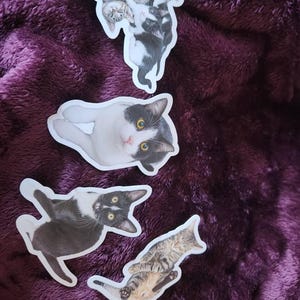 Colleen さんが購入した商品の写真を追加しました