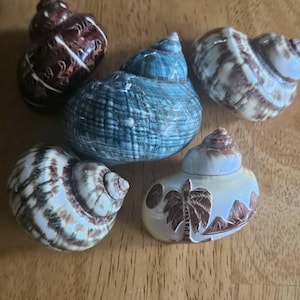 Amy added a photo of their purchase