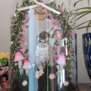 Juhi さんが購入した商品の写真を追加しました