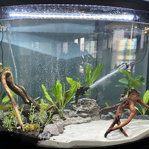 Susanna added a photo of their purchase