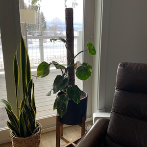 KIMBERLY added a photo of their purchase