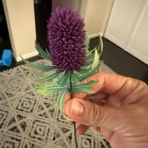 Amy added a photo of their purchase